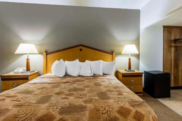 Lotus by Hotel Inn - Hot Springs image 7